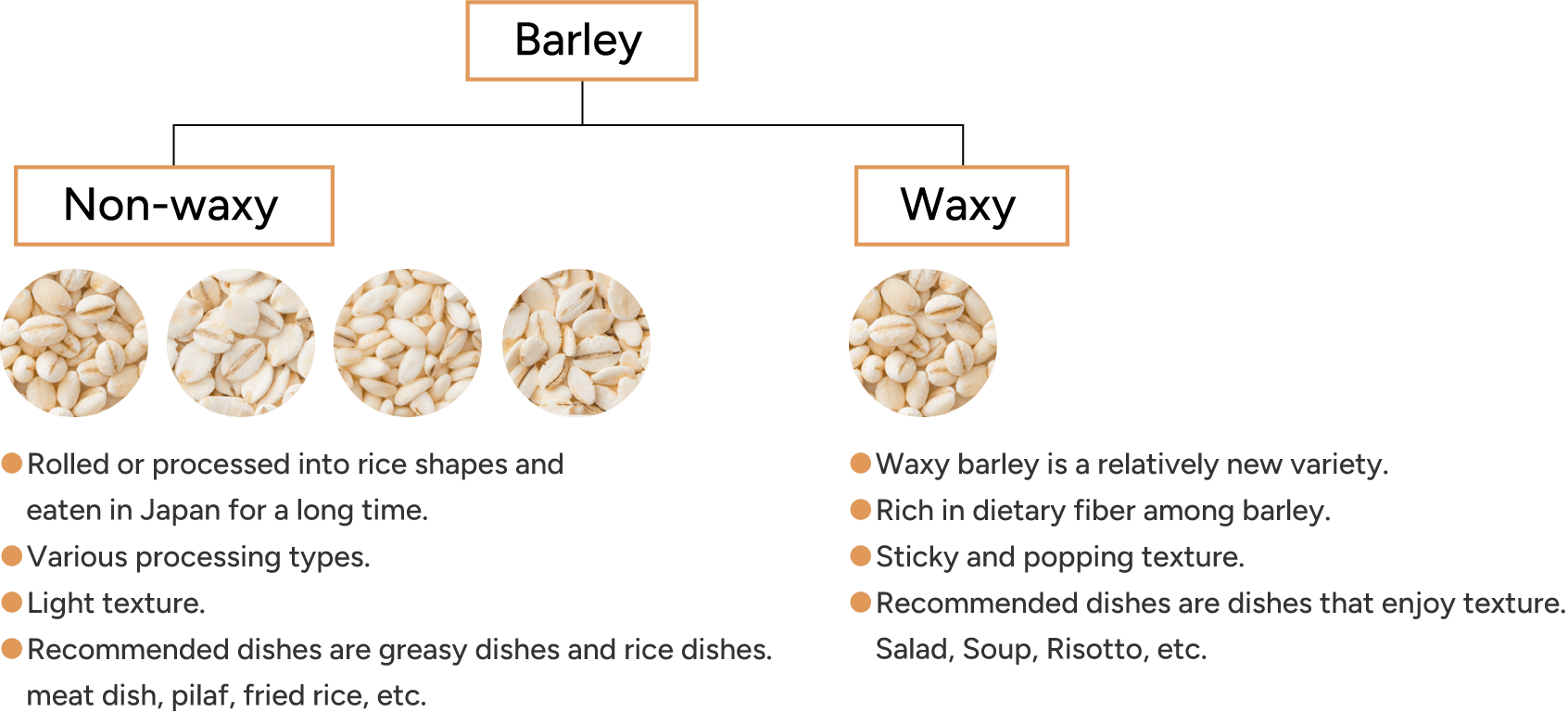 barley non-waxy waxy