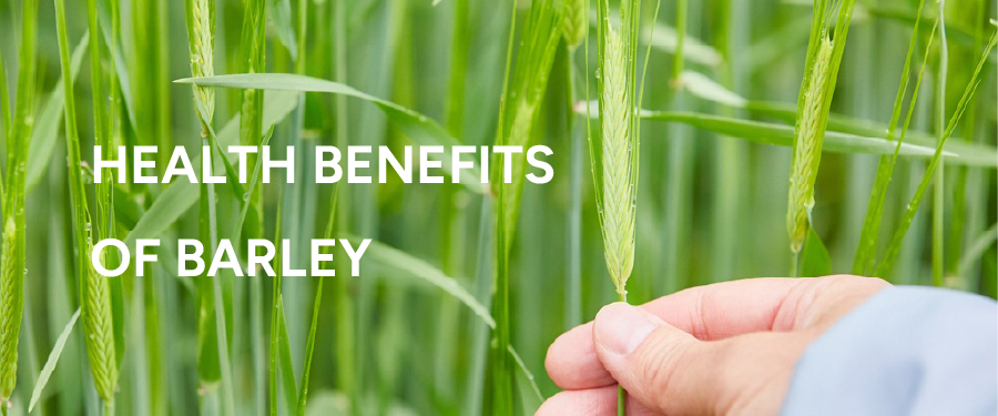 HEALTH BENEFITS OF BARLEY